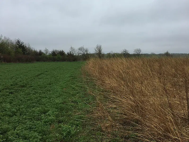 Grasslands at Warsaw Wildlife Management Area.
