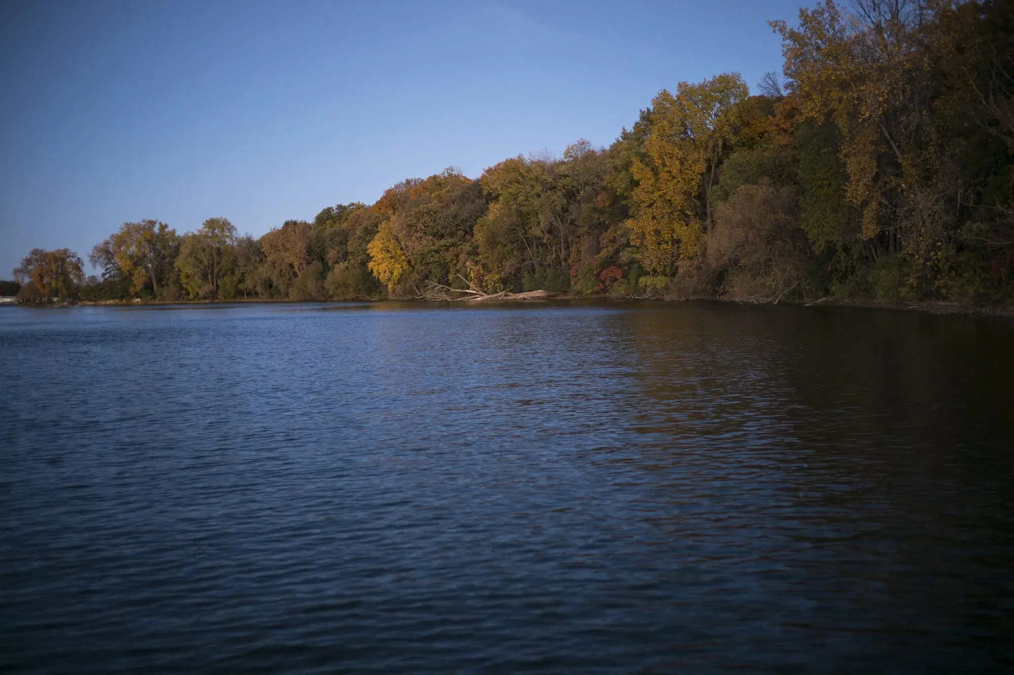 Forested shoreline at Kroschel Wildlife Management Area in fall.