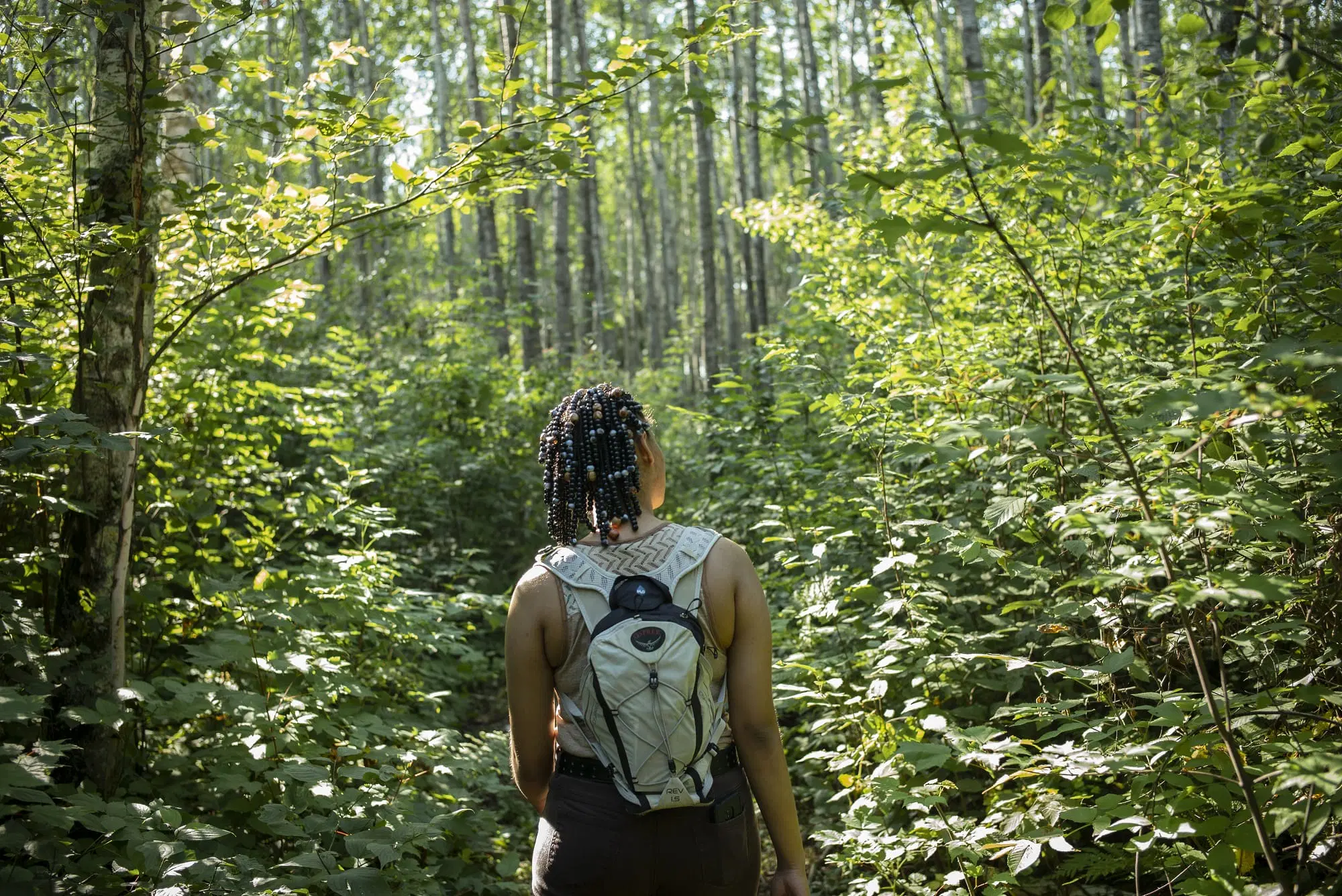 A visitor explores forested habitat in Minnesota.