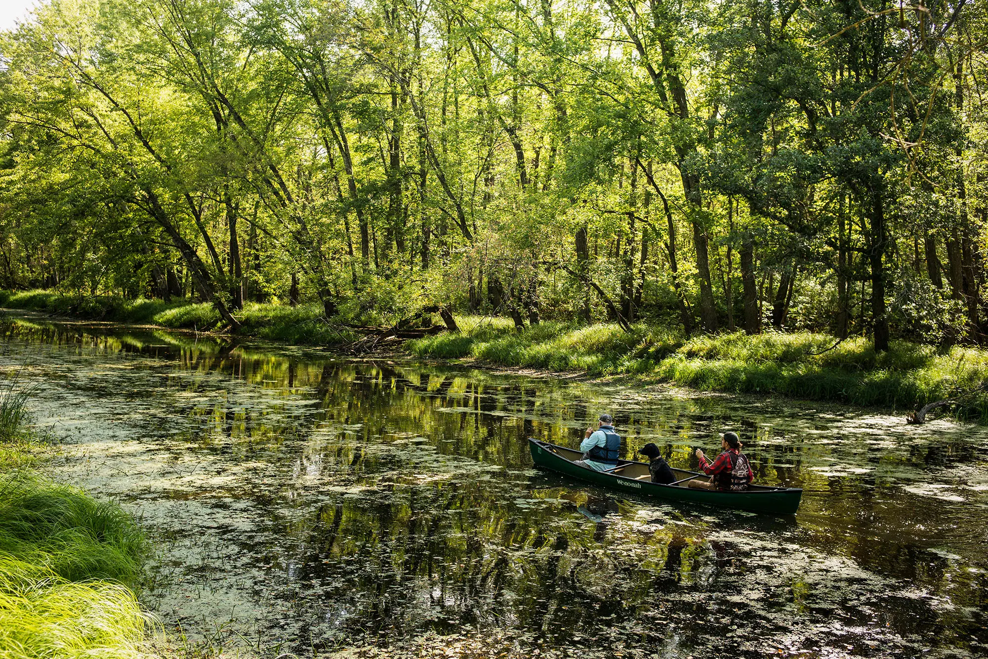 Kayakers ride down the river at Crow Wing County Forest.