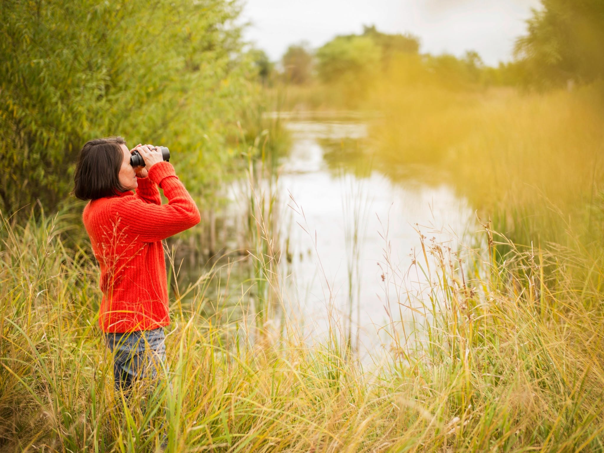 A visitor looks through binoculars on Minnesota habitat.