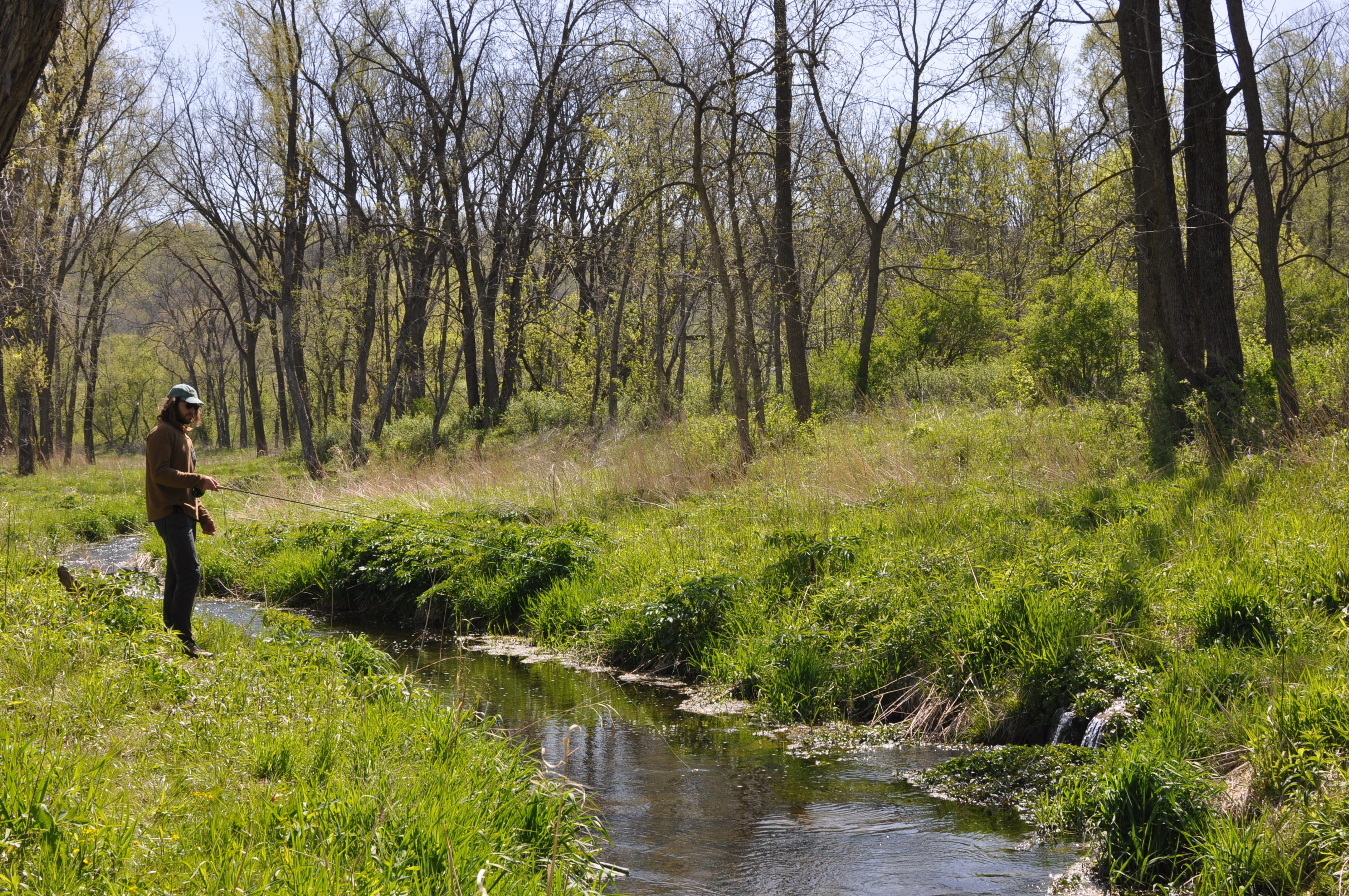 An angler casts along the restored Cedar Valley Creek.
