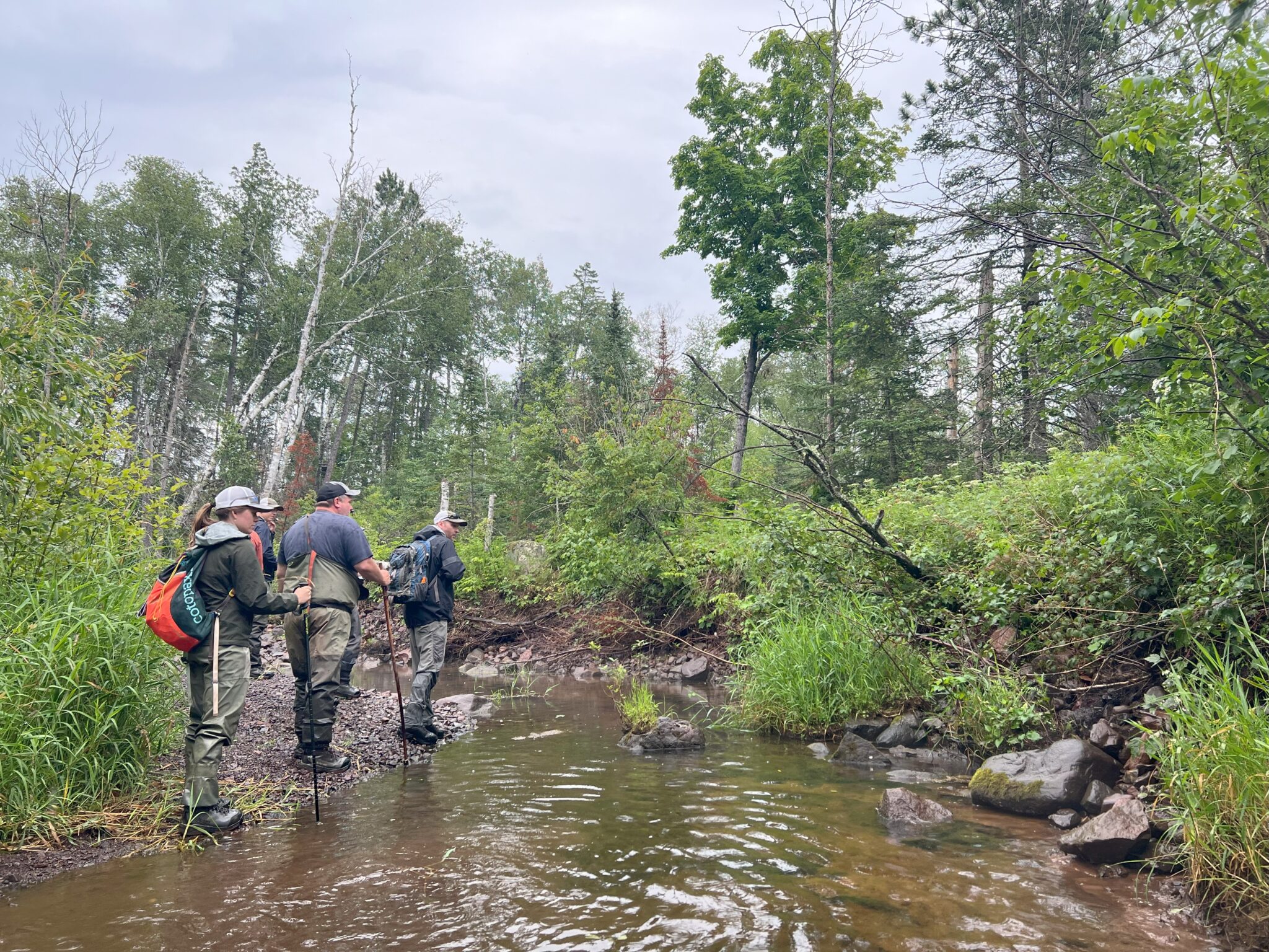 Visitors explore newly restored stream habitat at Amity Creek.